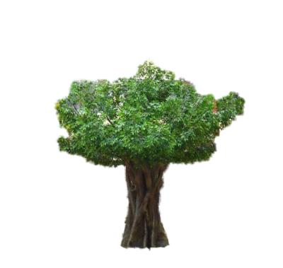 China High Quality Eco-friendly Guangzhou New Design Artificial Green Decorative Ficus Banyan Trees For Garden for sale