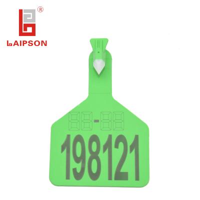 China Tracking Large Size Laipson TPU Ear Tag Zee Type Cattle Identification Management Ear Tag for sale