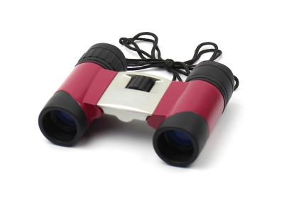 China Handheld 10x24 Lightweight Compact Binoculars for Kids BAK9 Roof Prism for sale