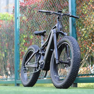 China FRANFUN Aluminum Alloy 48v 1000w Full Suspension Electric Bike Mountain Electric Bicycle for sale