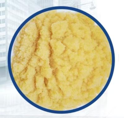 China Sewage Treatment Chemicals for Water Treatment Ion Exchange Resin for Removal of Cations and Anions in Water for sale