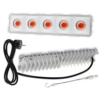 China Seed Starting Led Plant Growth Lamp 50W Full Spectrum Plant Lamp for sale