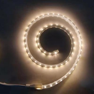 China Good Price Cool Residential or Warm White 220V Floor Lighting Double Bank Outdoor Side Emitting Waterproof LED Strip Light for sale