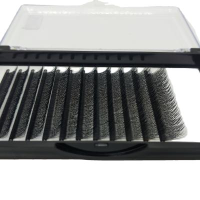 China Hot Selling Colorful Eyelash Packaging Box Private Label Custom 12mm Eyelash Extension for sale