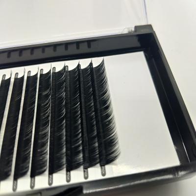 China Single Factory Wholesales Eyelash Fan Easy Eyelash Extensions Custom Eyelash Serum Packaging for sale