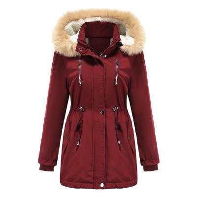 China Anti-wrinkle 2021 autumn and winter new arrival coat stripper quilted jacket casual faux fur hooded coat along for sale