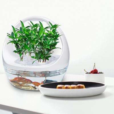 China Minimalist Ecosystem Mini Garden Hydroponic Flower Fish LED Growing Light Indoor Home Mini Smart Garden for sale