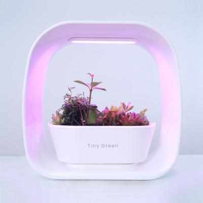 China Novelty Hydroponic And Soil Planting Fashion Garden Plant Indoor Smart Growing System for sale