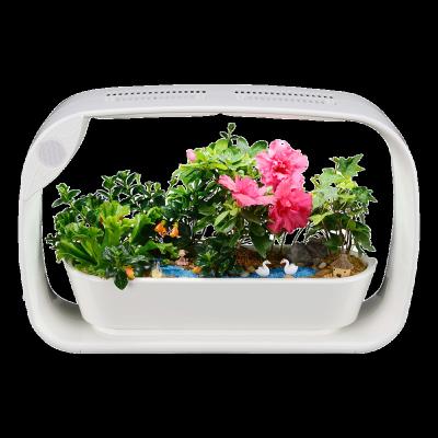 China Minimalist Hydroponic Smart Garden Grow Lightweight Indoor Planter Vegetable Planter Machine for sale