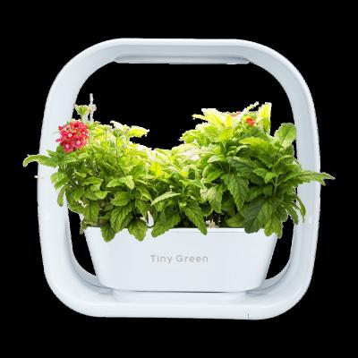 China Minimalist Mini Indoor LED Hydroponic Indoor LED Smart Garden Herb Garden Vegetable Planter Box for sale