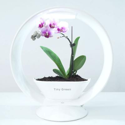 China Indoor Minimalist Smart Garden Grow Light Indoor Desk Lamp Flower Pots Hydroponic Planters for sale