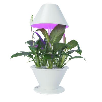 China Indoor Decoration Smart Minimalist Home Indoor Garden Grow Light Desk Lamp Garden Planter Light for sale