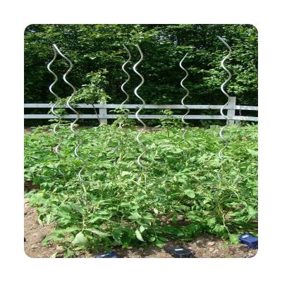 China Vegetable Support Tomato Growing PC PVC Ribbed Growing Stake Plant Support Wire 7.00Mm for sale