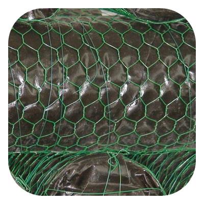 China Dutch Weave Galvanized Hexagonal Chicken Net Chicken Storage Net Galvanized Fence for sale