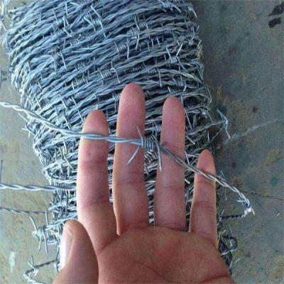 China Galvanized Steel Wire Supply 10 Gauge Barbed Wire for sale