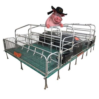 China Other high quality production bed sow cage production bed for sale