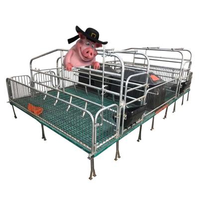 China Other Hog Crates Pen Pig Flooring Stall Farrowing Galvanized Farrowing Bed for sale