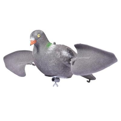 China Ourdoor Hunting Flocking Pigeon Decoy Garden Lawn Decor Shooting Decoy for sale