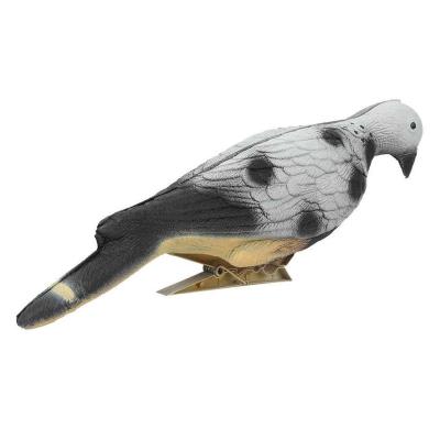 China Outdoor PE pigeon hunting decoy that simulates spotted pigeons for sale