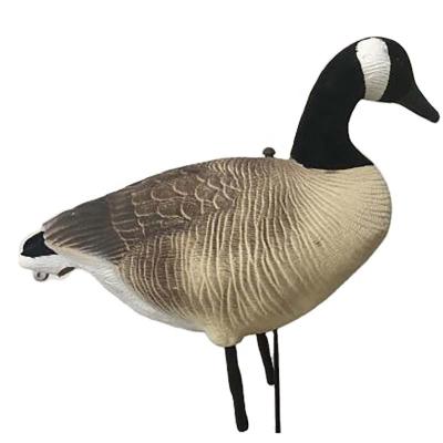 China Outdoor Hunting Goose EVA Goose Decoys Field Hunting Outdoor Inflatable Duck Shooting Geese Practice Target for sale