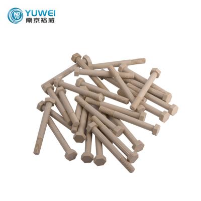 China 260â „ ƒ High Strength High Temperature Resistance Plastic PEEK Hex Head Bolts And Nuts for sale