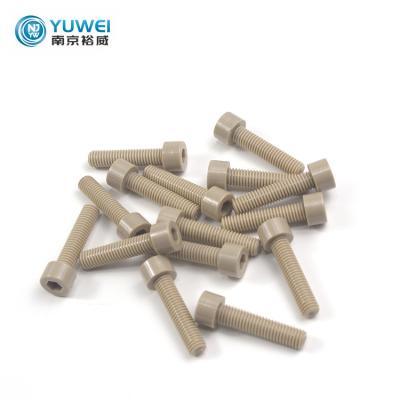 China Pan Medical Equipment Slotted PEEK Flat Head Screw PEEK Bolt for sale