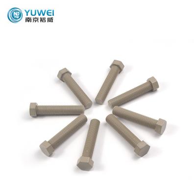 China Plastic Pan Peek Special Screw Bolt Insulated Countersunk Peek Cross Head Screw Bolt And Nuts for sale