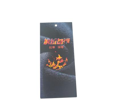 China Viable Custom String Seal Plastic Tag With Your Logo Custom Label Hang Tags en venta