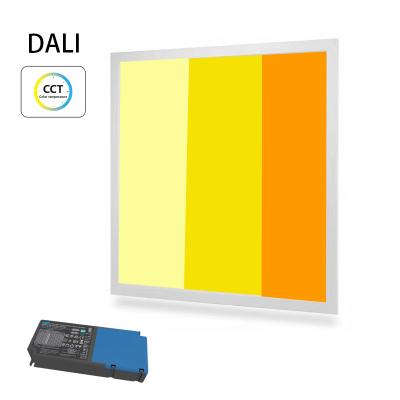 China Modern 220V 40w 595x595 DALI Dimmable TDC 3000 6000k LED Panel Lights for sale