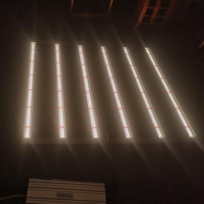 China Indoor Factory Full Spectrum IP66 Waterproof Samsung LM301B Led Grow Light Bar With 180 Degree Foldable For Indoor Factory for sale