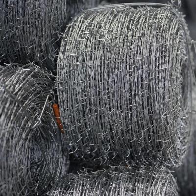 China High Quality PVC Gillnet Protection Free Sample Barbed Wire Stainless Steel Barbed Wire for sale