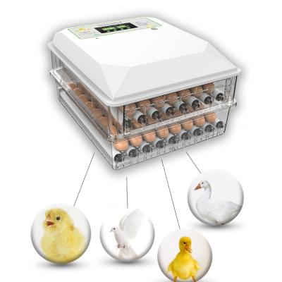 China China Supplier Small Size Professional Free Shipping 96 Egg Chicken Egg Incubator For Sale for sale