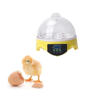 China Mini Egg Incubator GUANGHUAN 7 Small 7 Chicken Egg Hatcher Fully Automatic Heater Small Poultry Incubator for sale