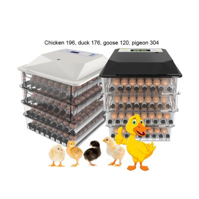 China Latest Farm Small Size Equipment 25 Eggs Hatching Incubator Poultry For Quail 24 Volt For Sale Made In China for sale