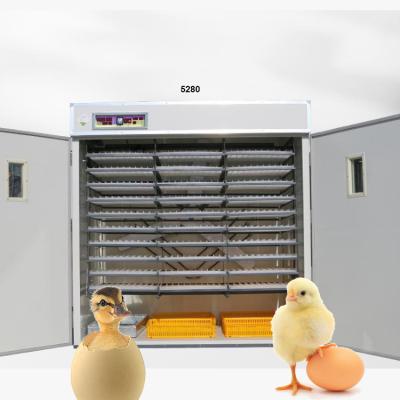 China Custom Fully Automatic Heavy Duty Industrial 5000 10000 20000 Large Capacity Chicken Hatching 2000 High Yield Pigeon Ostrich Peacock Eggs Incubators Goose Quail Duck for sale