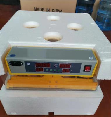 China China Lowest Price Home Small Small Teaching 36 Egg Educational Multifunctional Incubator for sale