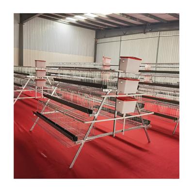 China Poultry field factory direct sale poultry farming equipment one type layer chicken cage with automatic system for sale for sale