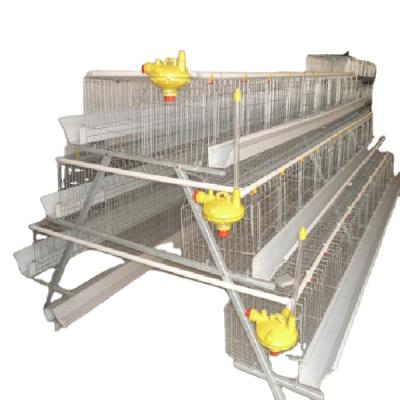 China Poultry Field H Type Full Automatic Dimension For 1000 Live Chickens Battery Layer Poultry Cage To Transport For Sale for sale