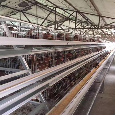 China Easily clean small footprint and large breeding volume specially used for breeding factory ladder stacked chicken cage for sale