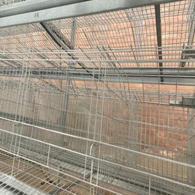 China Easily own custom wholesale all kinds of chicken farming equipment quail cages stock stepped chicken cage for sale