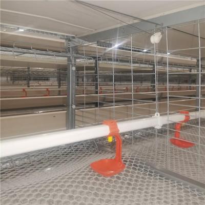 China Manufacturer Quality Assurance Livestock Farming Machinery And Equipment Professional Chicken Cage Easily Clean for sale