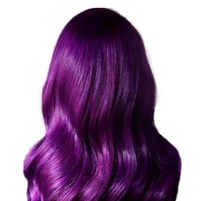 China right & Body Wave ELI RTS PROMOTION 10A 613 Blonde Purple Colored Hair Full Lace Front Wig 100% Virgin Raw Body Wave Hair Straight Wigs for sale