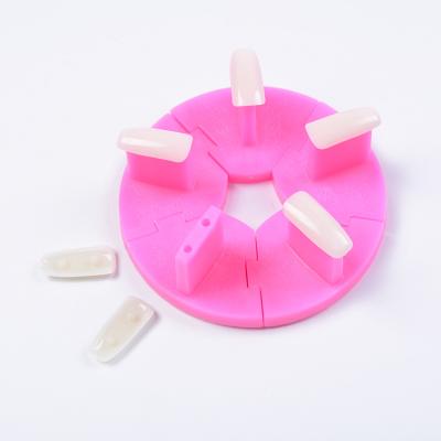 China Durable Round Practice Display Stand Tool With 10 pcs False Nail Art Tips for Gel Nail Polish DIY Nail Training Tools for sale