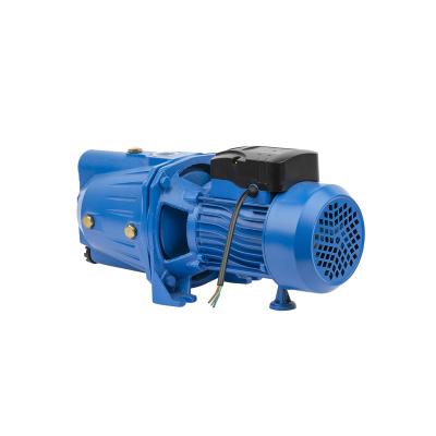 China Hot Selling 1 Hp Auto Industry Water Motor Pump High Head Agricultural Outdoor Irrigation Water Pump Pumps for sale