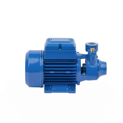 China Automotive Industry Factory Direct Sales 1hp Rate Water Motor Pumps Home DC Solar Surface Water Pumps for sale