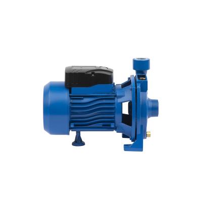 China Automotive industry 1.5hp miniature surface water pump irrigation mobile centrifugal gardening electric water pump for sale