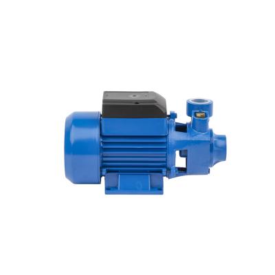 China Automotive Industry Popular Selling Automatic Mini Electric Surface Vortex Water Pumps For Agriculture for sale