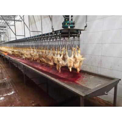 China Equipo automático de matadero de aves de corral de tamaño pequeño de acero inoxidable Máquinas móviles para pollo en venta