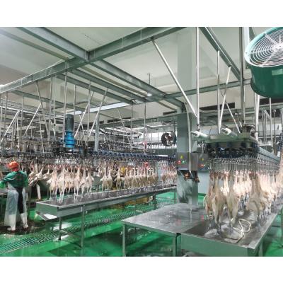 China Automatic Chicken Meat Processing Plant Plucking Machine for sale