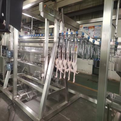 China Halal pluimvee slachtmachine eend gans kalkoen kwartel kip slachtmachine Te koop